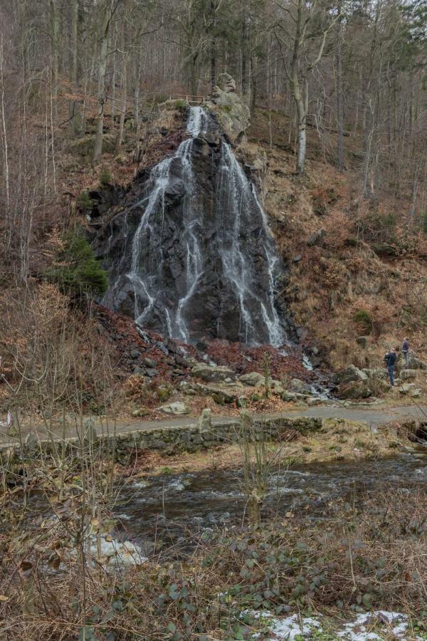 Welt Lodge Альтенау Екстер'єр фото