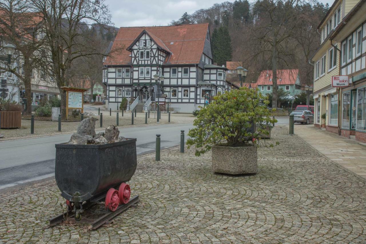 Welt Lodge Альтенау Екстер'єр фото