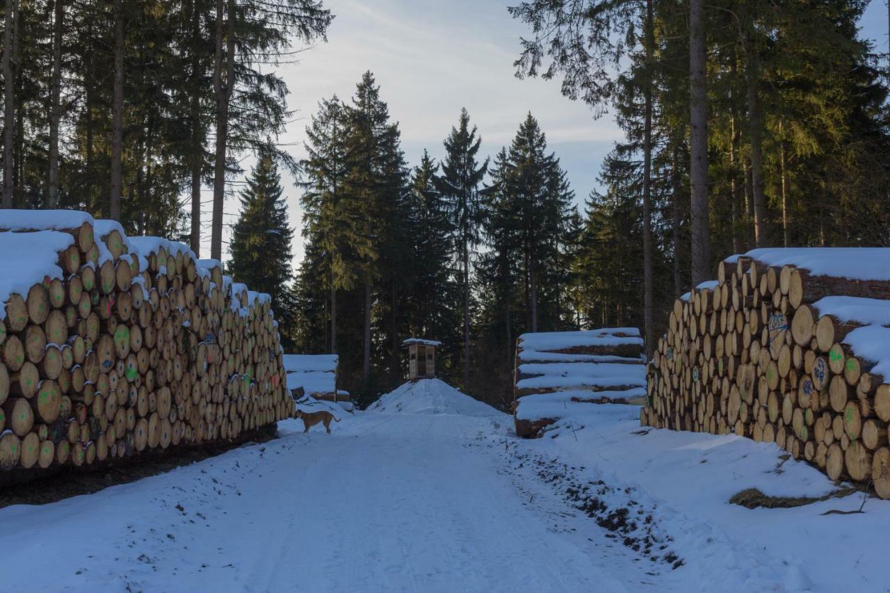 Welt Lodge Альтенау Екстер'єр фото